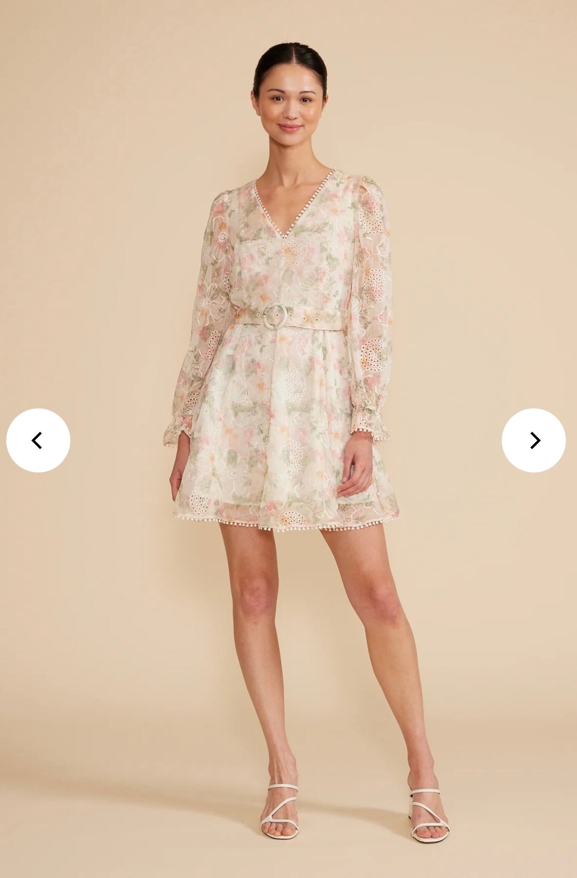 Haisley Dress