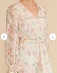 Haisley Dress
